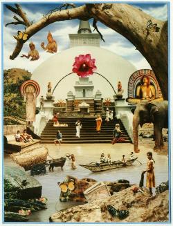 Collage Sri Lanka (aus ca. 50 Einzelfotos)